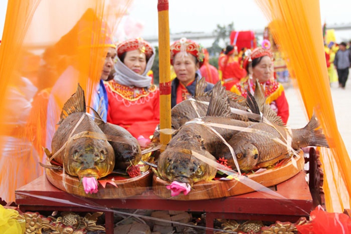 Dâng cá đền Trần